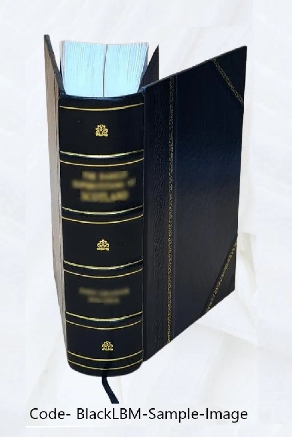 showing the numberless evils n. Ricardo ... A treatise on the state of the currency at the present time, 1824-5 : being a full and free exposition of the erroneous principles of Mr