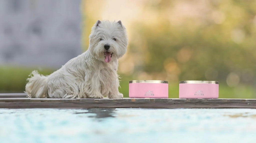 ALPINE Set of 2 Stainless Steel Dog Bowls, Non Slip, Metal Pet Bowl for Food and moisture, Double Walled Insulated, Rustproof, Dishwasher Safe (32 oz, Pink)