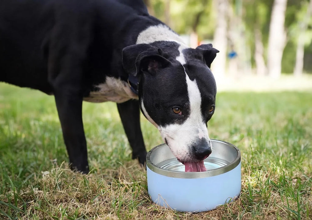 ALPINE Set of 2 Stainless Steel Dog Bowls, Non Slip, Metal Pet Bowl for Food and moisture, Double Walled Insulated, Rustproof, Dishwasher Safe (32 oz, Pink)