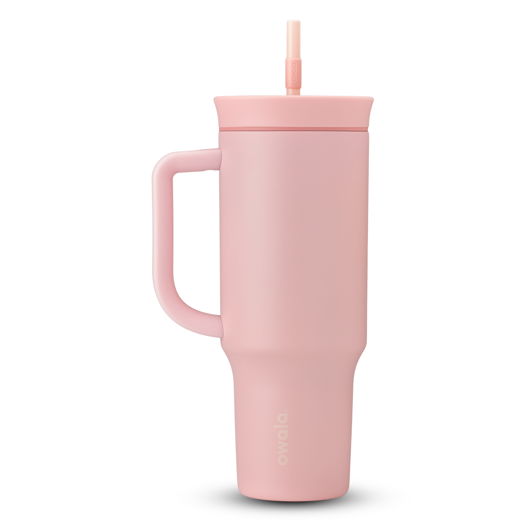 2-in-1 Bottle Brush